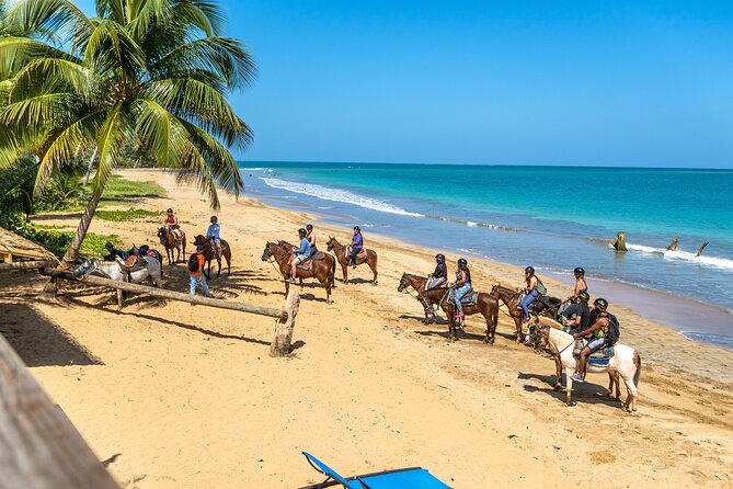 Luquillo Beach Horse Ride from Carabalí Rainforest Adventure Park - How the safety briefing and horse matching actually sets you up