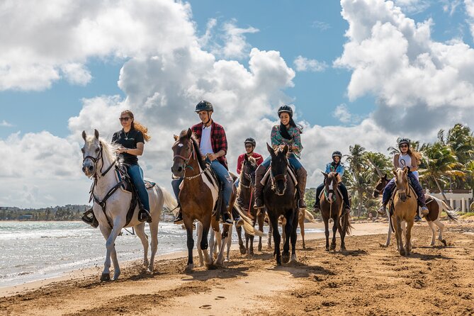 Luquillo Beach Horse Ride from Carabalí Rainforest Adventure Park - The Mameyes River section: where the “cool off” really happens