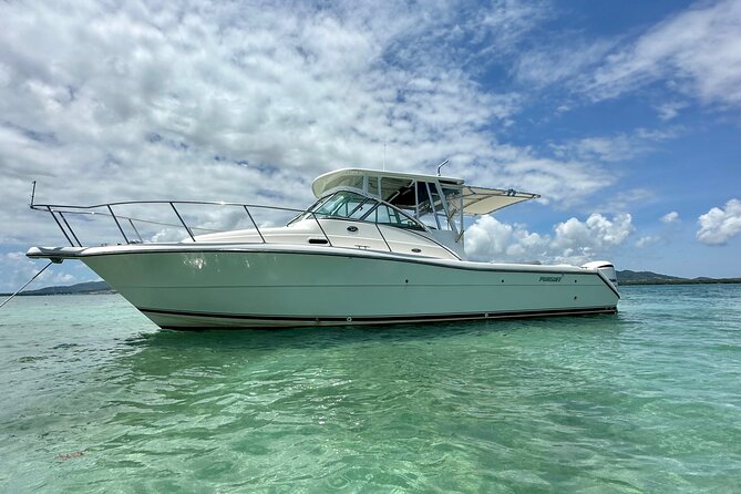 Luxury Private Tour to Fajardo Keys—Snorkeling & Island Adventure - Snorkeling reality check: self-guided time and gear you should inspect first