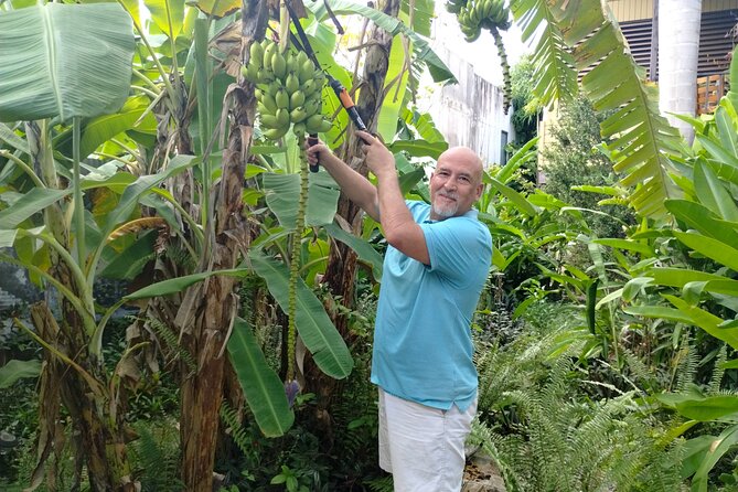 Modern Puerto Rican Cooking Class in a Historic San Germán Home - Cocktail, then hands-on cooking with Chef Tony