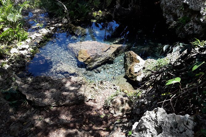 Mountain Bike tour to a Pristine Spring and Cave - What you get for $140 and why it can feel like good value