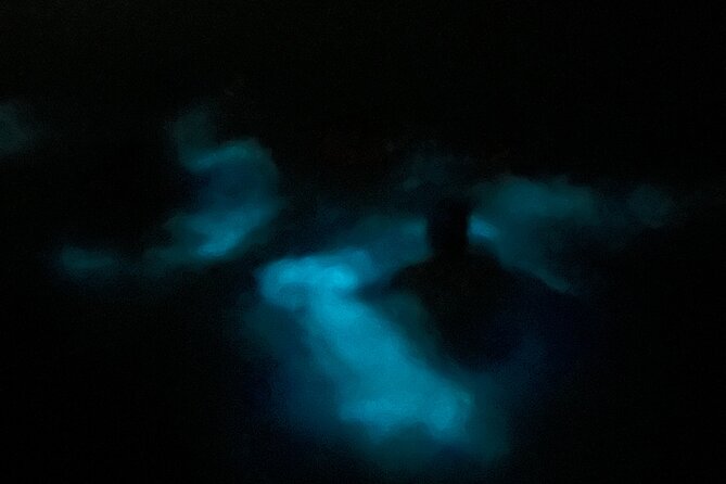 Mystic Waters A Bioluminescent Night Tour - Key things to know before you go