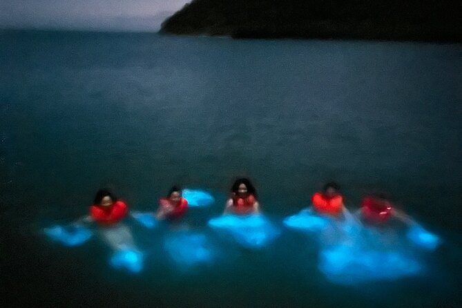 Mystic Waters A Bioluminescent Night Tour - Getting to La Parguera Lajas and starting at 8:00 pm