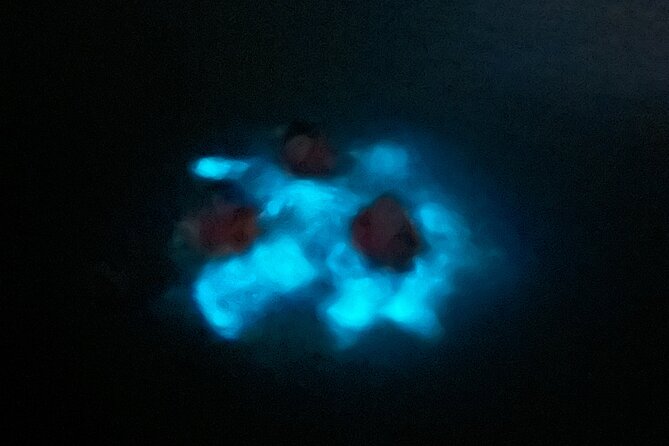 Mystic Waters A Bioluminescent Night Tour - Swimming is optional, and that is a big deal
