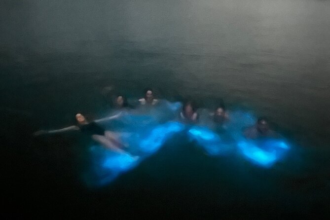 Mystic Waters A Bioluminescent Night Tour - Price and value: what $65 buys you