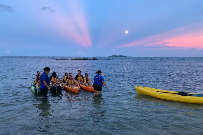Night Kayaking Experience on Bioluminescent Lagoon in Fajardo - Mangroves at Night: The Part That Feels Calm, Not Complicated