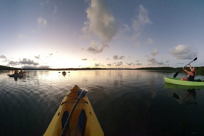 Night Kayaking Experience on Bioluminescent Lagoon in Fajardo - How the Bio Bay Glow Works, and How to Get the Best Effect