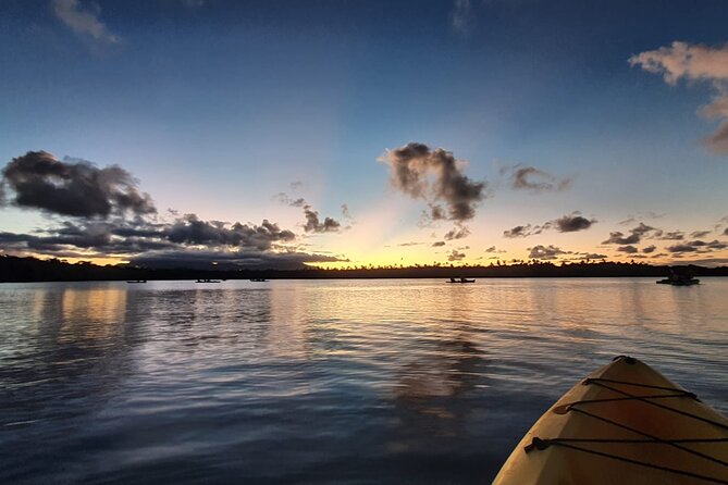 Night Kayaking Experience on Bioluminescent Lagoon in Fajardo - What to Bring for a 6:00 pm Night Paddle in Fajardo