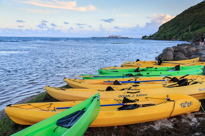 Night Kayaking Experience on Bioluminescent Lagoon in Fajardo - Price and Timing: What $79 Gets You in About 2 Hours