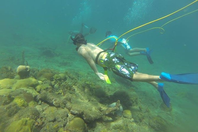 OCTOPUS DIVING (hookah diving) NO Experience Needed - Key things to know before you go