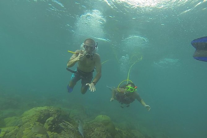 OCTOPUS DIVING (hookah diving) NO Experience Needed - How the Octopus Hookah System Lets You Go Reef-First