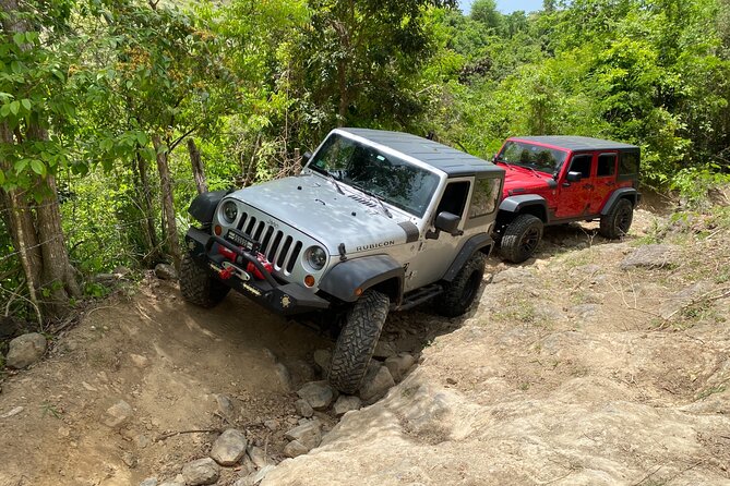 Off-Road Jeep Adventure from Carolina - Private Feel Without the Big-Conveyor-Belt Vibe