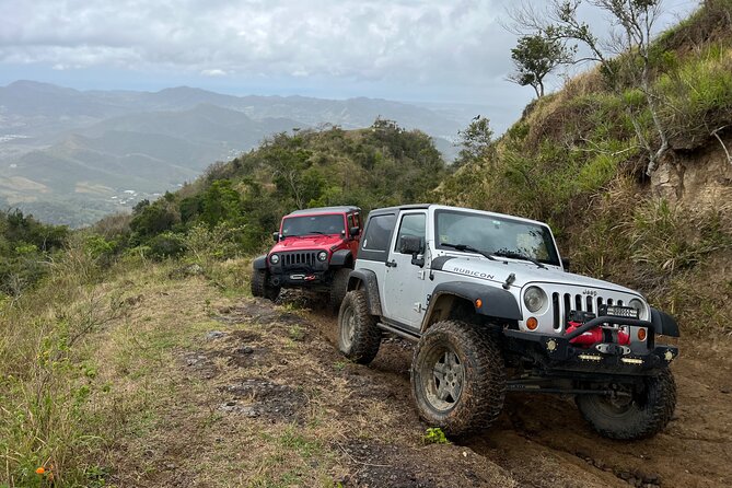 Off-Road Jeep Adventure from Carolina - Who This Tour Is Best For (And Who Might Prefer Something Else)