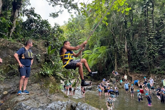 "Off the beaten path" Rain Forest Guided hike with Transportation - Key points before you go