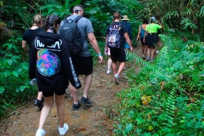 "Off the beaten path" Rain Forest Guided hike with Transportation - Swim and wading with life jackets: comfort, cold water, and real fun