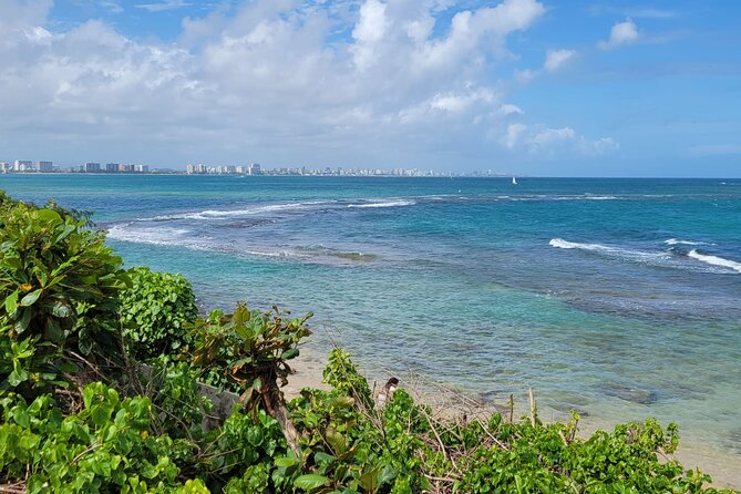 Old San Juan and Piñones Sightseeing Experience! - Lunch at Piñones, What to Budget, and How to Order Smart