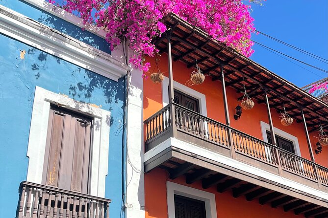 Old San Juan and San Cristobal Castle Walking Tour - La Fortaleza (Palacio de Santa Catalina): Governor’s Power in Plain Sight