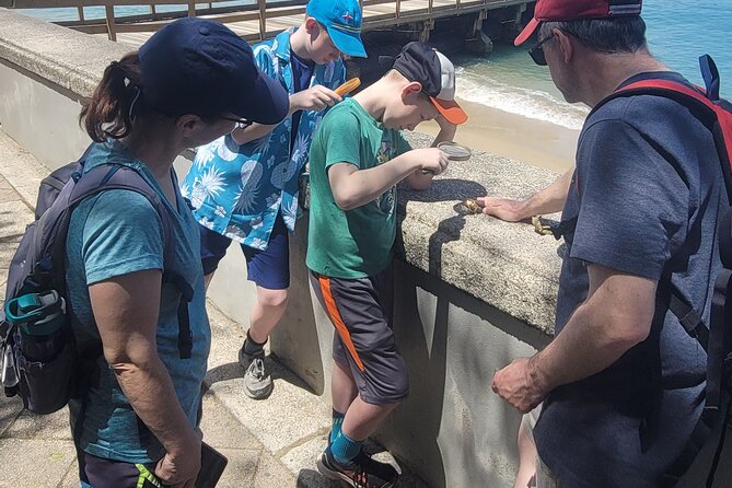 Old San Juan Family Fun Tour: Science/History/ Yummy treats - Ancient Wall and monument walking: how the defensive ring becomes a story