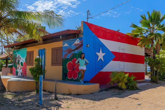 Old San Juan & Loiza African Town Full-Day Tour: Minimum 8+people - Price and value: is $145 a fair deal for this mix?