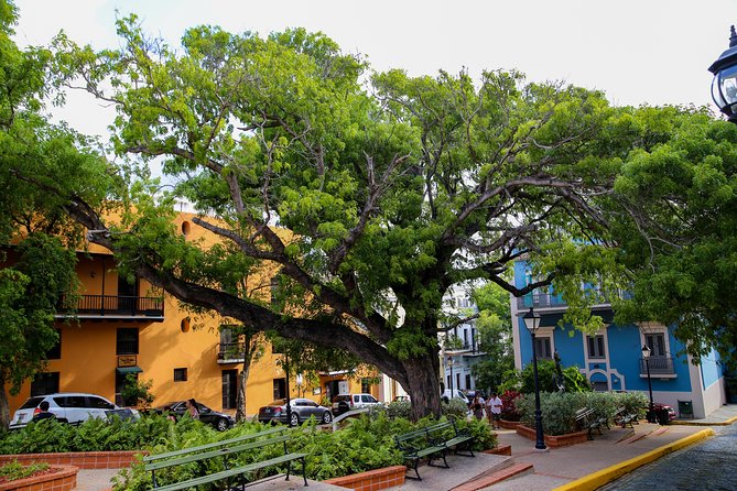 Old San Juan Walking Tour with Fort: 8+ people group - The Itinerary, Stop by Stop, and How It Feels on the Ground