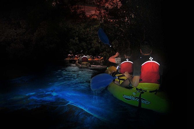 Overnight Bio Bay Kayak Tour in Vieques Island - From the shore to mangroves: what the itinerary feels like