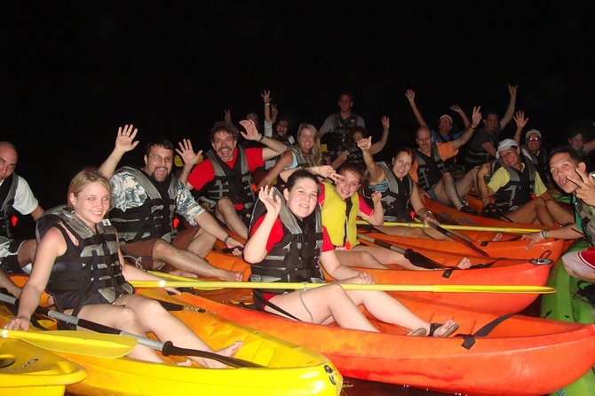 Overnight Bio Bay Kayak Tour in Vieques Island - Night paddling: how the glow works and how to get the best view