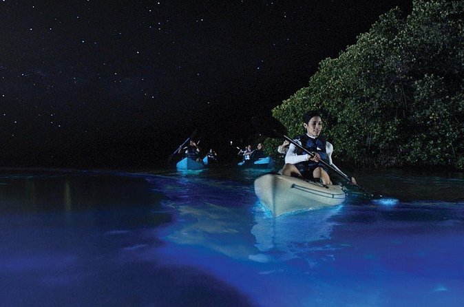 Overnight Bio Bay Kayak Tour in Vieques Island - How long are you really kayaking?