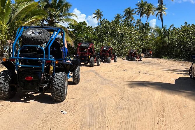 Piñones Beach Buggy + El Yunque Waterfall Adventure - Footwear and Water Reality: Plan for Slippery Rocks