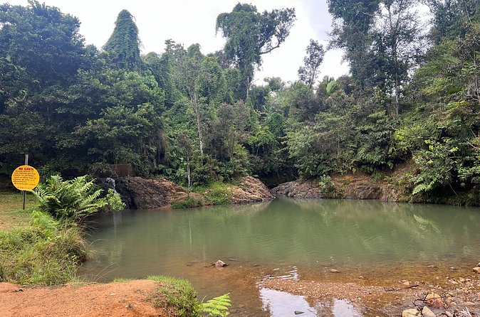 Pork Highway & Cayey Cultural & Gastronomical Experience - Food, Nature, Music, History: The Balance You’re Paying For