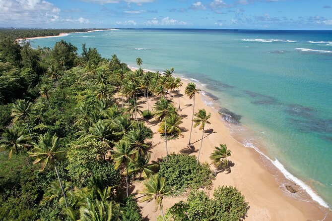PR Chinchorreo-Beach and Bar Hopping Tour - Key things to know before you go