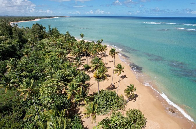 PR Chinchorreo-Beach and Bar Hopping Tour - Crashboat Beach Snorkeling: How to Get the Best Underwater Views
