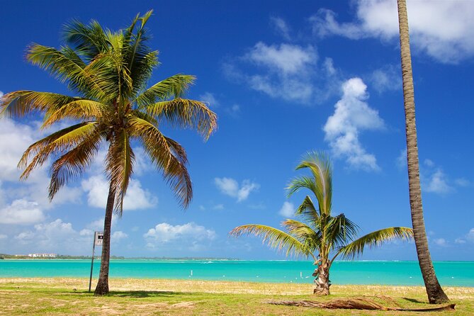 PR Chinchorreo-Beach and Bar Hopping Tour - Humacao Finish: Treats, Drinks, and an Avatar 2 Connection