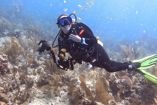 Private 2-Tank Dive with PADI Instructor for Certified Divers - Key highlights at a glance