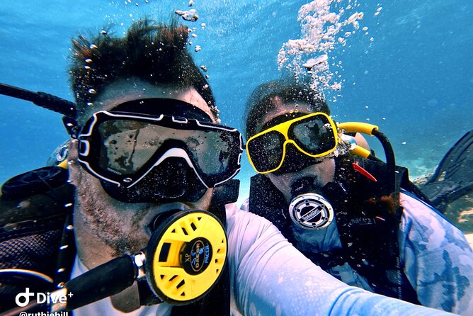 Private 2-Tank Dive with PADI Instructor for Certified Divers - Getting to Renaissance Villa Marina and Getting Ready