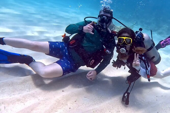 Private 2-Tank Dive with PADI Instructor for Certified Divers - Reef Stop 1: Renaissance Villa Marina Dock Time and First Orientation