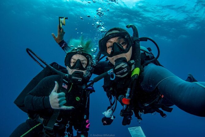 Private 2-Tank Dive with PADI Instructor for Certified Divers - What the Two Stops Mean for Your Half Day
