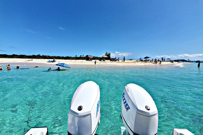 Private All-Inclusive 22ft Boat Guided Snorkeling Icacos Palomino - Key things that make this boat day work