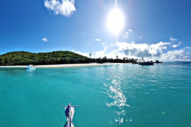 Private All-Inclusive 22ft Boat Guided Snorkeling Icacos Palomino - Price and Value: Is $550 per Group Actually a Deal?