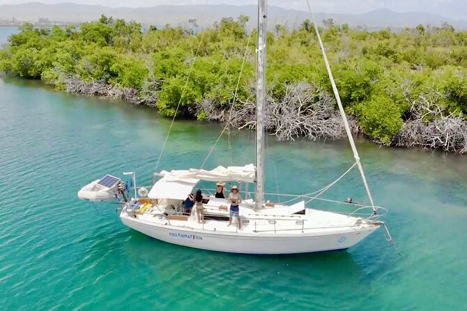 Private Day Sail - South Coast of Puerto Rico - Wildlife and scenery: what you can actually spot from the water