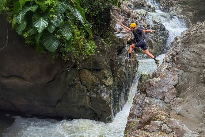 Private El Yunque Half-Day Tour with Transport - Why a private El Yunque day feels different from the start