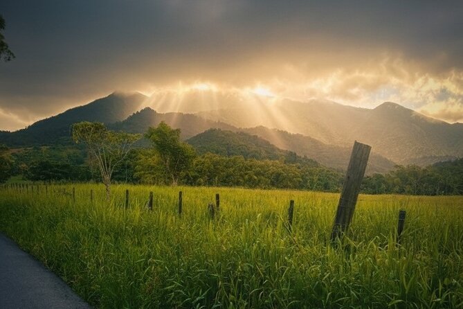 Private El Yunque Half-Day Tour with Transport - What to bring: a wet, muddy day needs a smart packing plan
