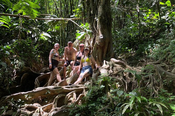 Private El Yunque Rainforest Day Tour with Transport - San Juan pickup and the rhythm of a 4 to 6 hour day
