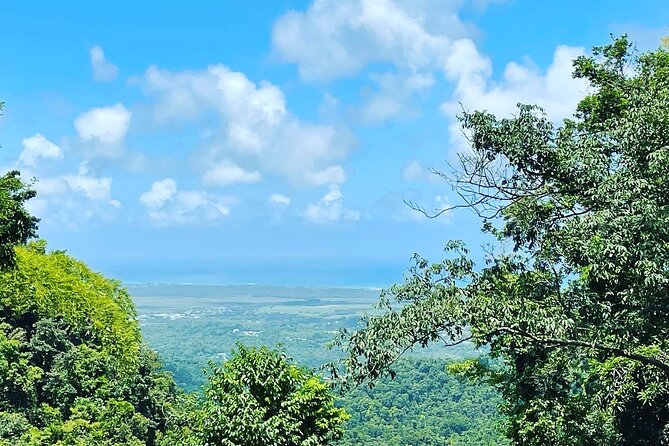 Private El Yunque Tour To Hidden Waterfall Remote Area - What the guide does well on this route, especially Sara