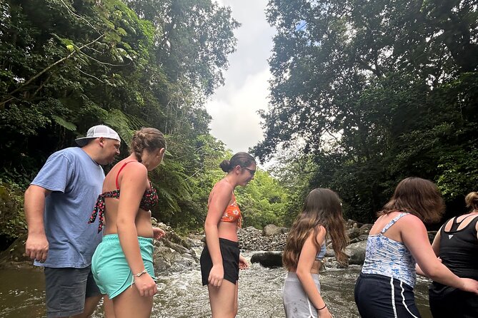 Private El Yunque Tour to Waterslide and Waterfalls - Entering El Yunque like you mean it, not like a line