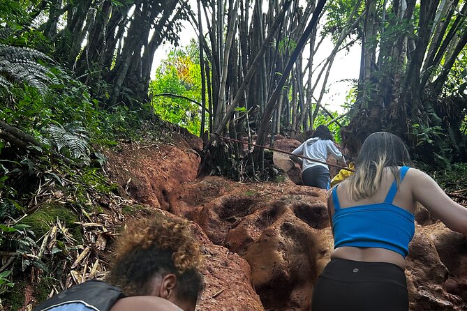 Private El Yunque Tour to Waterslide and Waterfalls - Snorkeling equipment is included, even if you’re mainly here for waterfalls