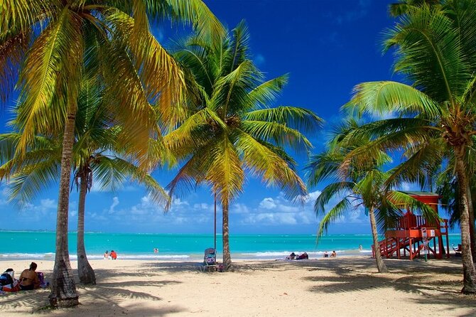Private El Yunque Waterslides and Luquillo Beach Tour - Key Highlights Worth Planning For