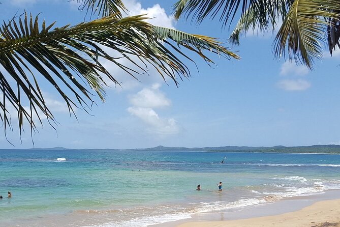 Private El Yunque Waterslides and Luquillo Beach Tour - Why This El Yunque And Luquillo Day Feels Like A Shortcut