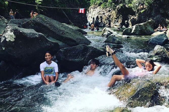 Private Full-Day Secret Hiking Tour to El Yunque Waterfalls - The river hike, rainforest plants, and that first water stop
