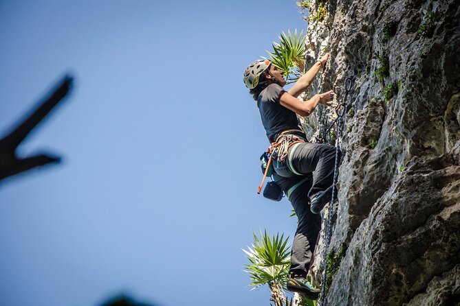 Private Guided Rock Climbing Trips in Puerto Rico - Price and value: $165 per person for a private coaching day
