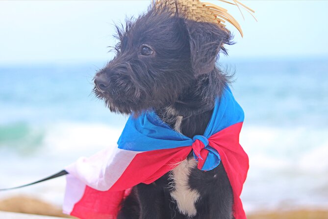 Private Old San Juan Photography - Weather, timing, and where this fits into your day